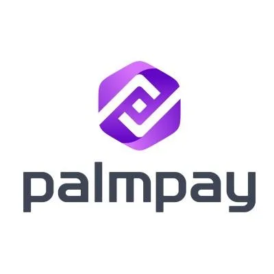 Customer Relationship Officer at PalmPay Limited