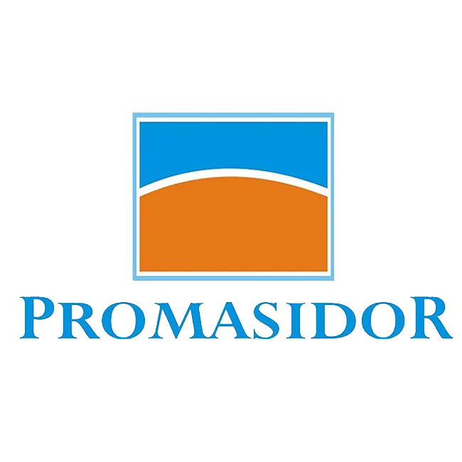 Rewards & Analytics Advisor at Promasidor