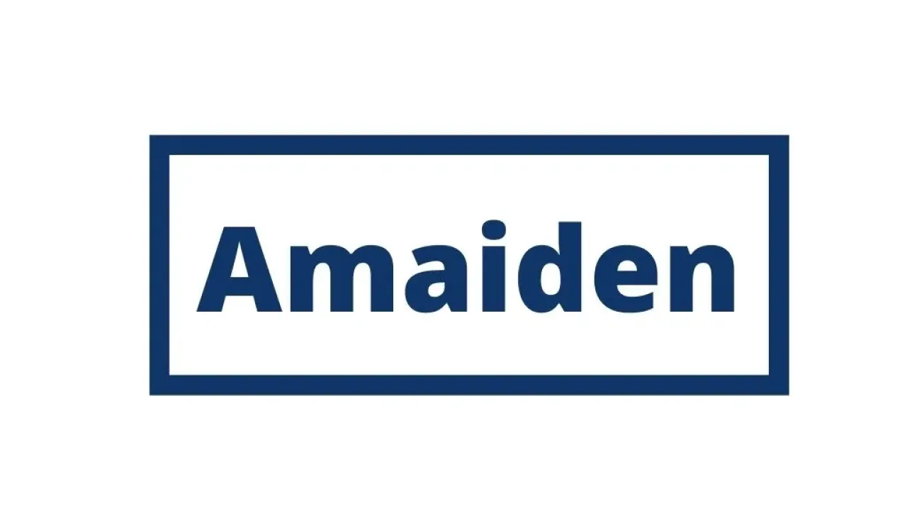 Partners Accountant at Amaiden Energy Nigeria Limited