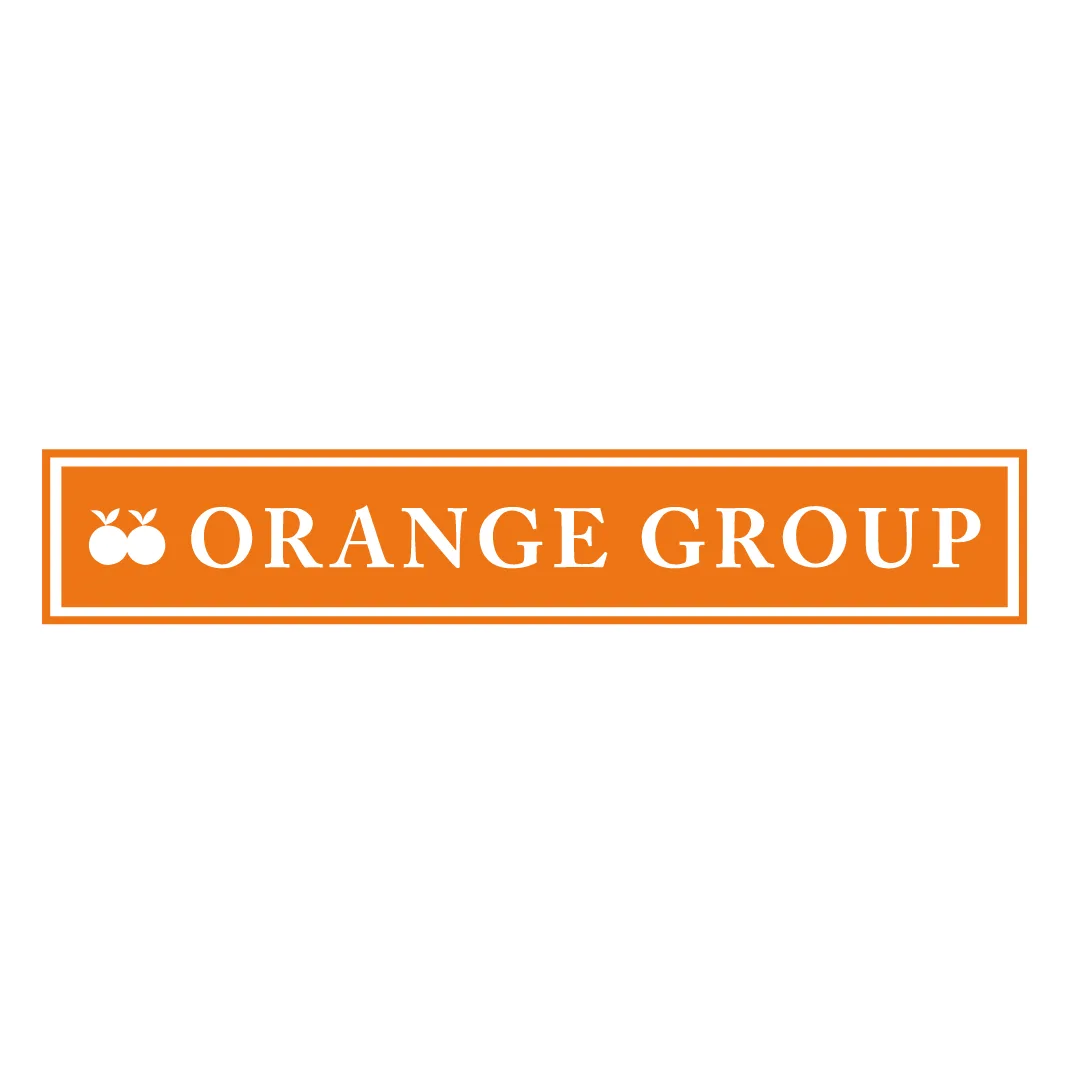 Management Trainee at Orange Group