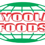 Company Secretary at Ayoola Foods Limited