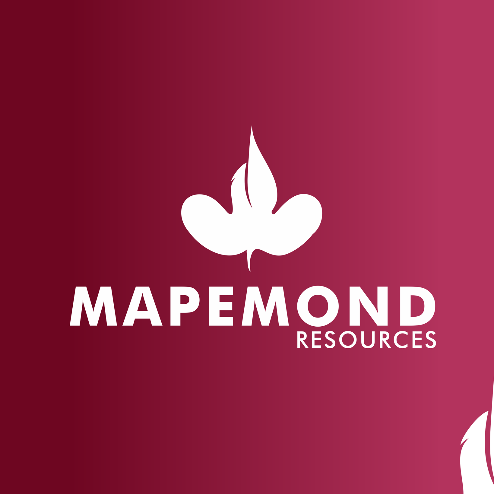 Business Manager at Mapemond Limited