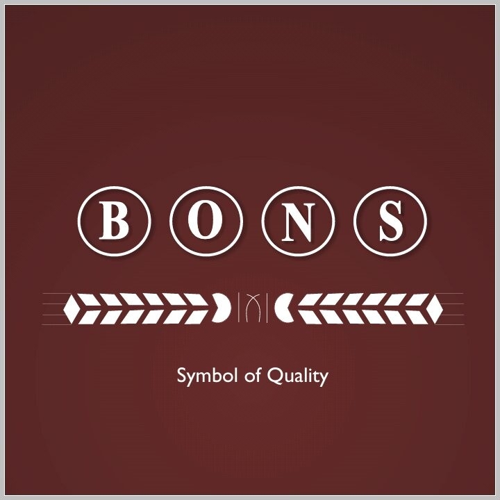 Account Officer at Bons Industries Limited