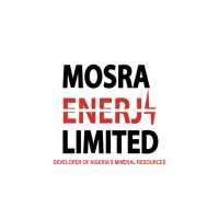 Data Analyst at Mosra Enerji Limited