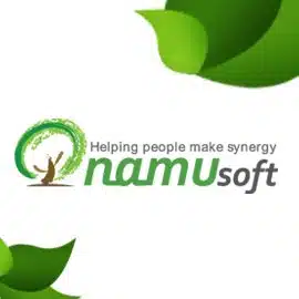 Software Developer at Namusoft