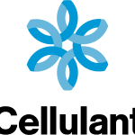 Legal Trainee at Cellulant Nigeria Limited