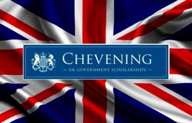 Your Guide to Chevening Scholarships 2024-2025: How to Apply and Succeed